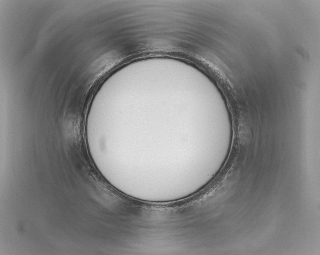 X0000115360873200911171350