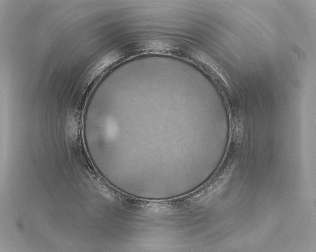 X0000115360874200911171350