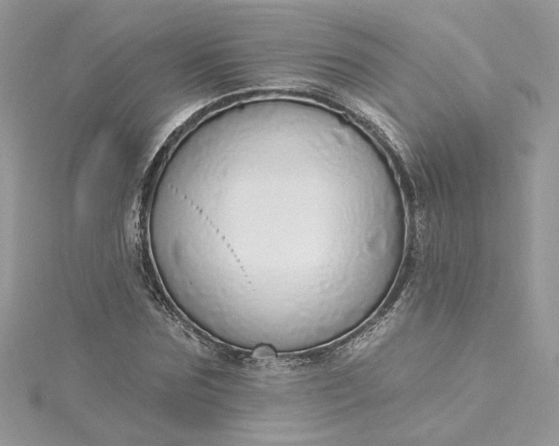 X0000115360875200911171350