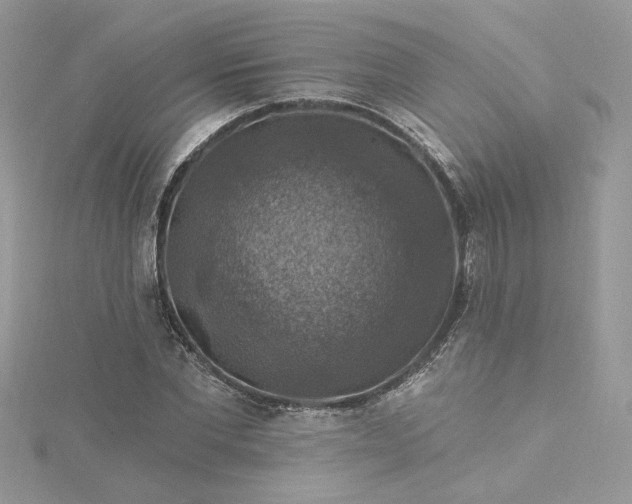 X0000115360877200911171350