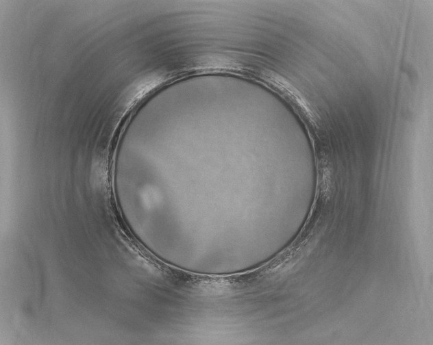 X0000115360882200911171350