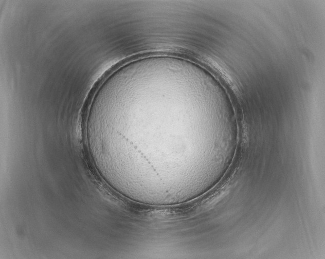 X0000115360883200911171350