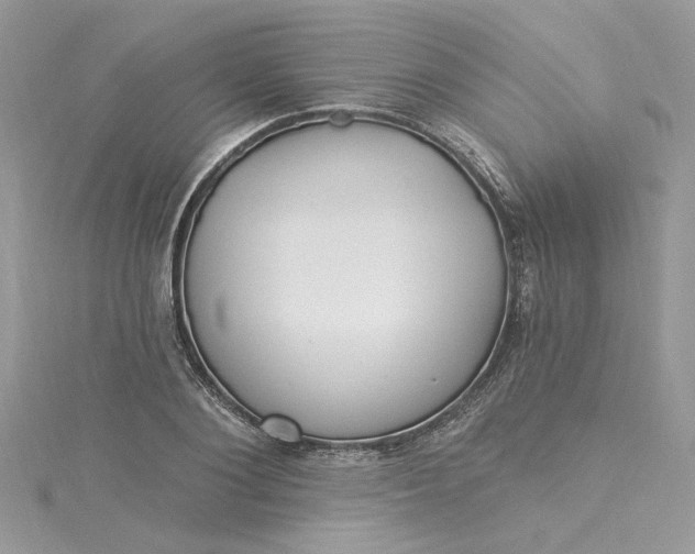 X0000115360884200911171350