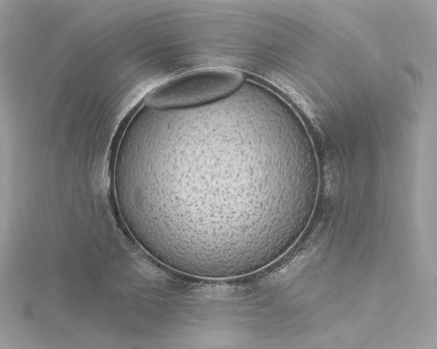 X0000115360885200911171350