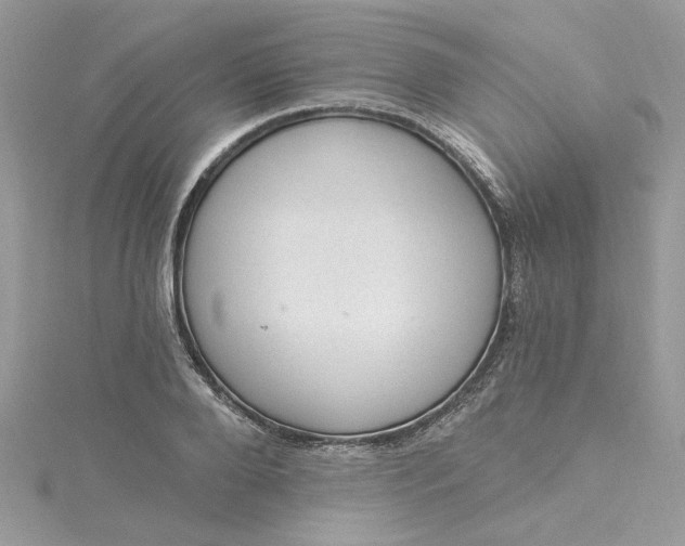 X0000115360888200911171350