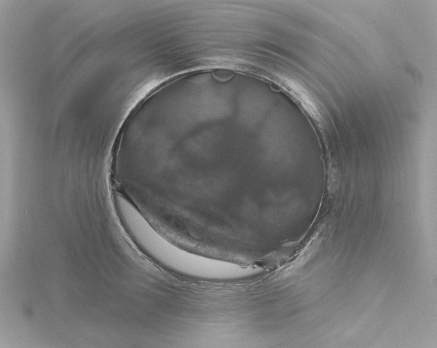 X0000115360899200911171350