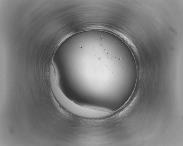 X0000115360905200911171350
