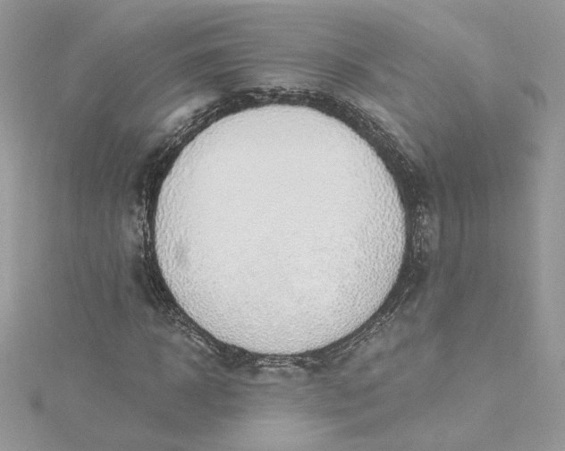 X0000115360918200911171349