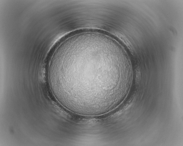 X0000115360926200911171349