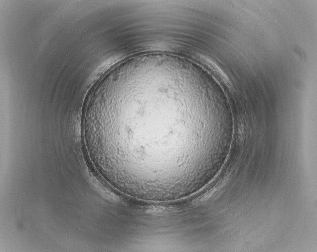 X0000115360938200911171350