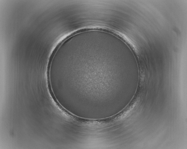 X0000115360943200911171350