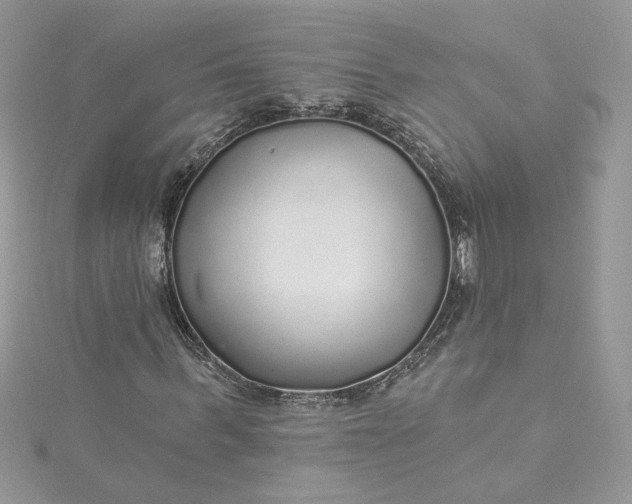 X0000115360963200911171349