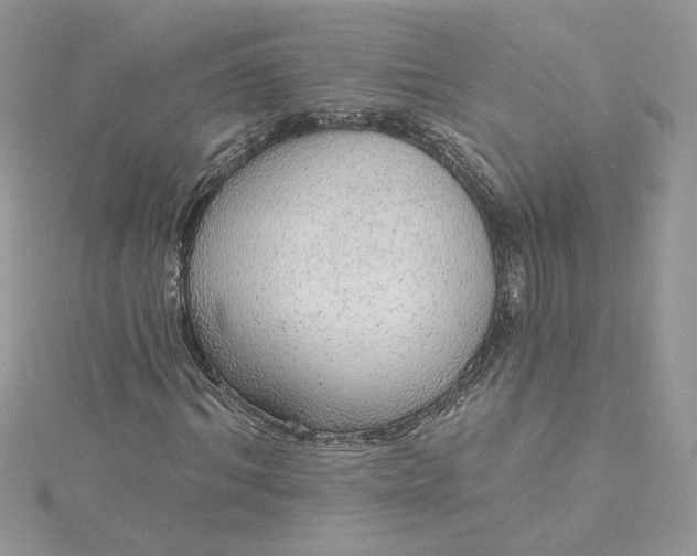 X0000115360964200911171349