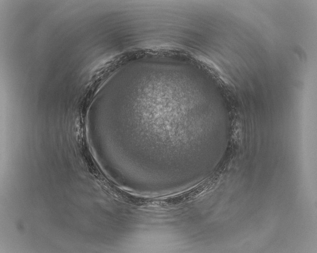 X0000115360966200911171349