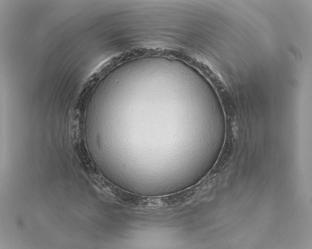 X0000115360968200911171349