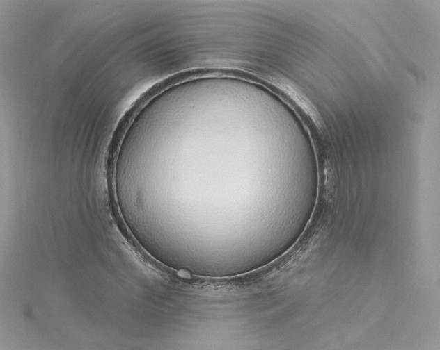 X0000115360972200911171349