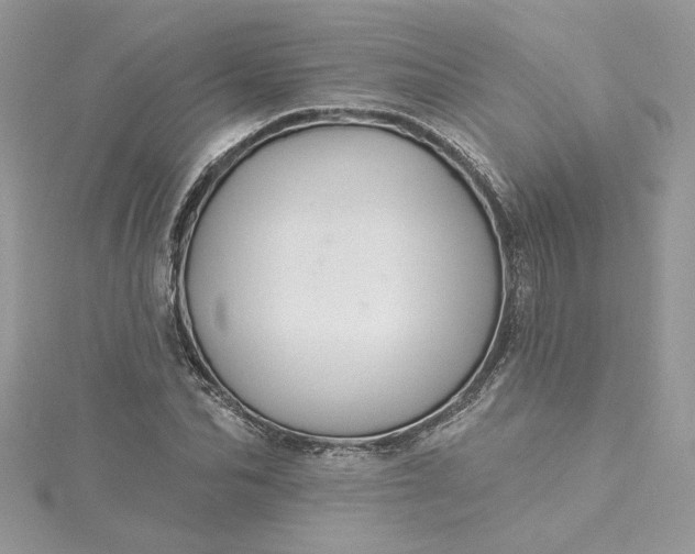 X0000115360974200911171349