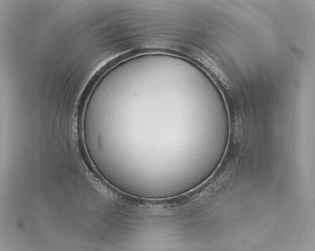 X0000115360976200911171349
