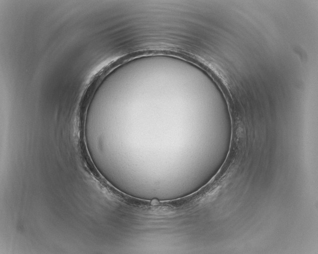 X0000115360979200911171349