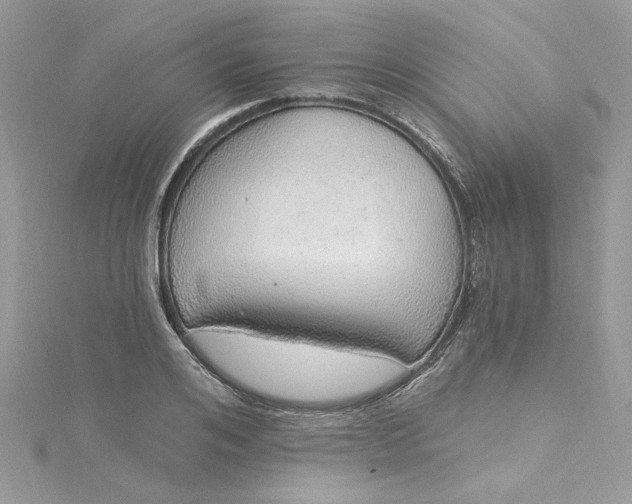 X0000115360984200911171349