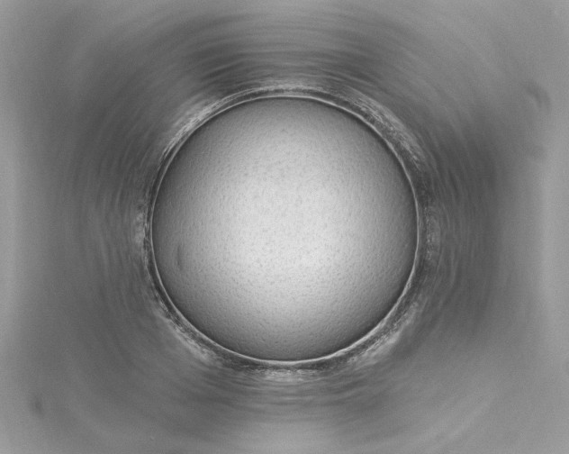 X0000115360985200911171349
