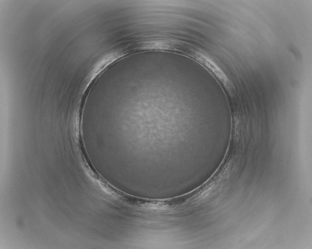 X0000115360994200911171349