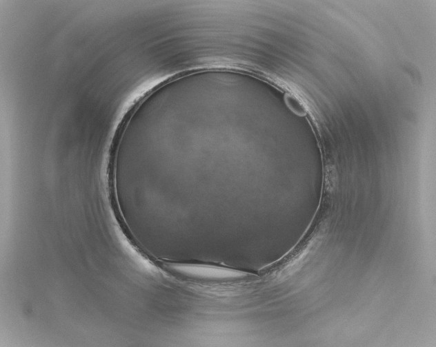 X0000115360995200911171349