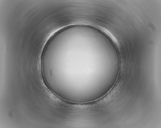 X0000115360996200911171349