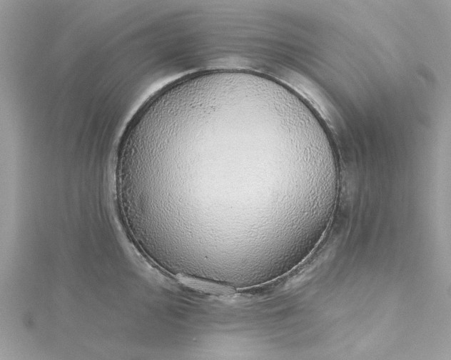 X0000115361000200911171349