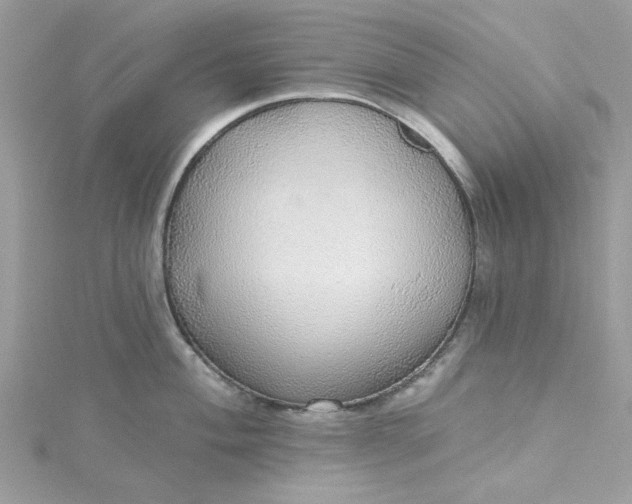 X0000115361004200911171349