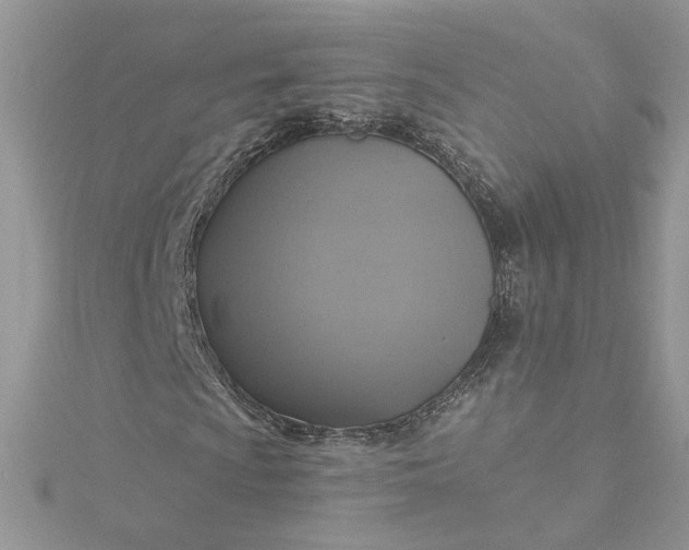 X0000115361009200911171348
