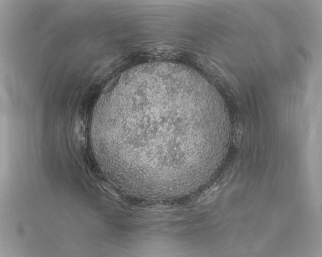 X0000115361010200911171348