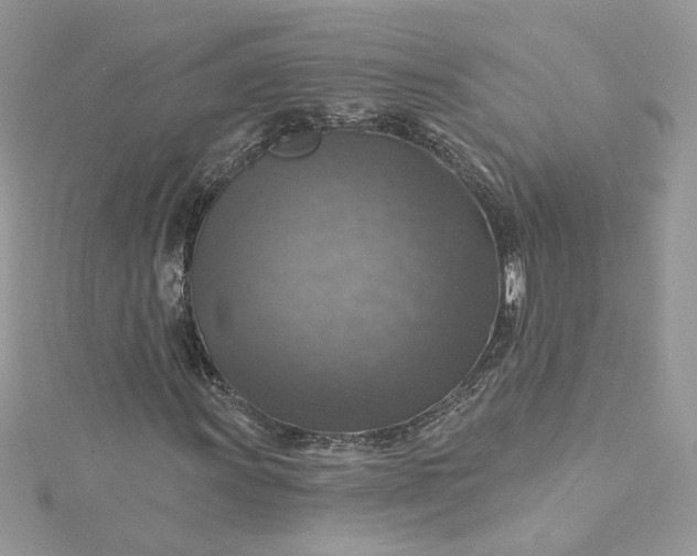 X0000115361011200911171348