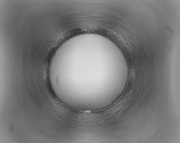 X0000115361012200911171348