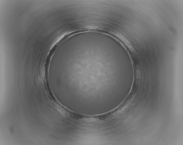 X0000115361023200911171348