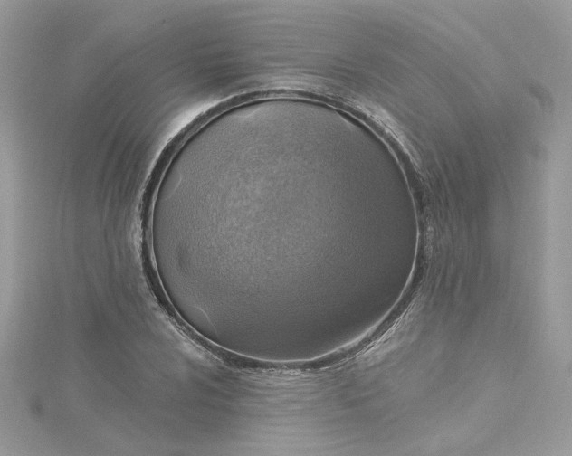 X0000115361024200911171348