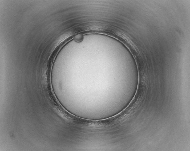 X0000115361026200911171348