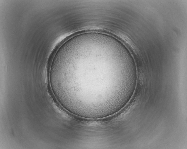 X0000115361030200911171348