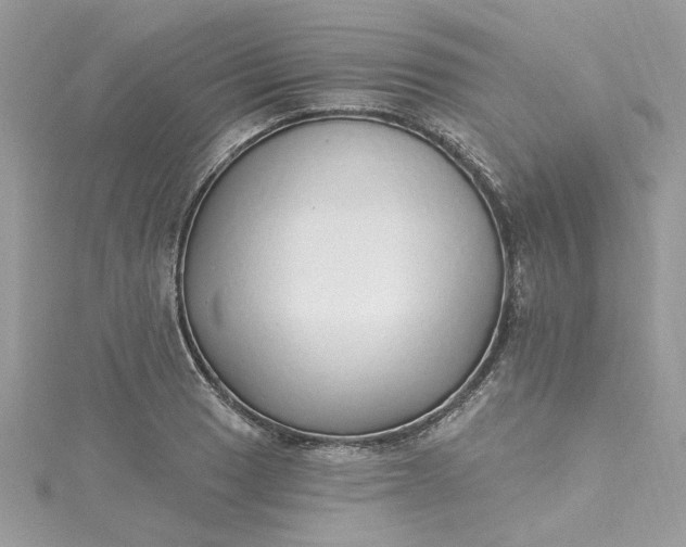 X0000115361033200911171348