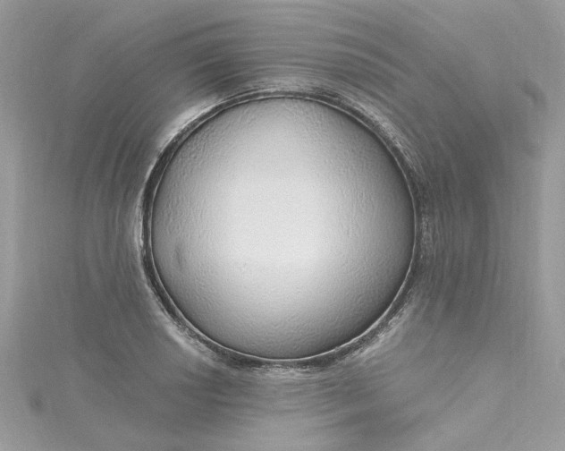X0000115361034200911171348