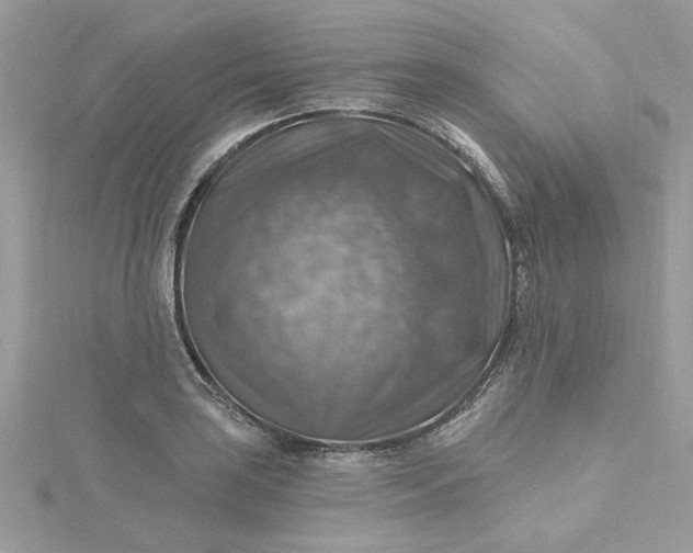 X0000115361035200911171348