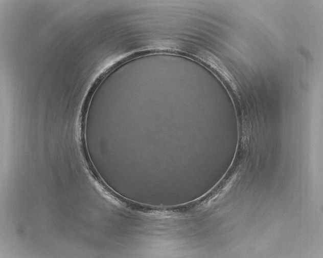 X0000115361037200911171348