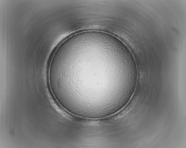 X0000115361038200911171348