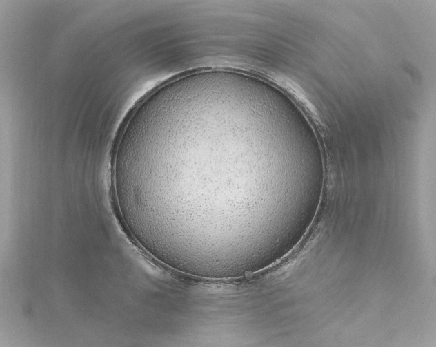 X0000115361040200911171348