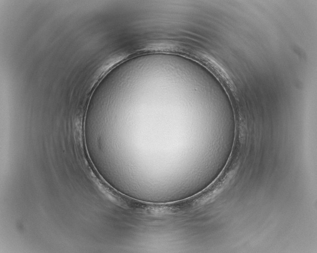 X0000115361041200911171348