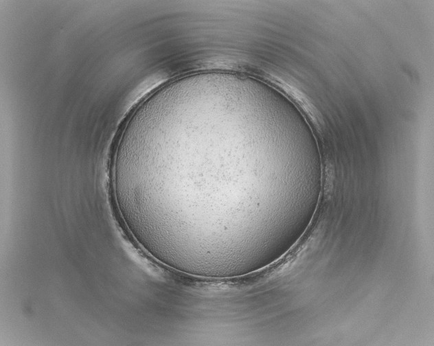 X0000115361042200911171348