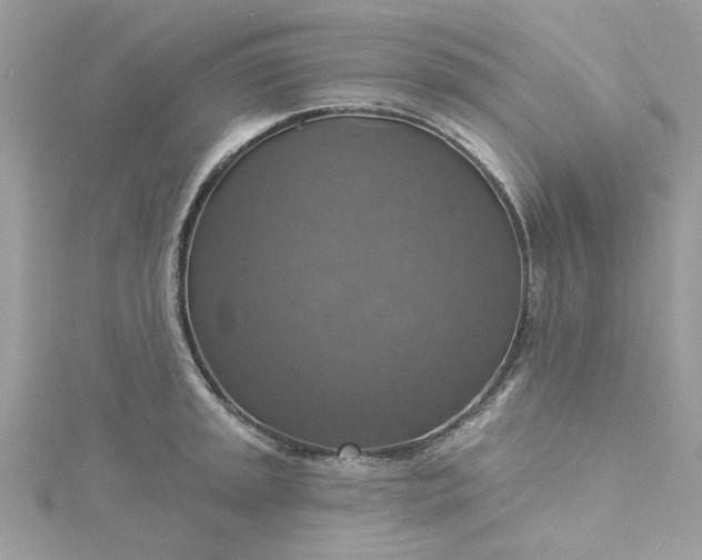 X0000115361045200911171348