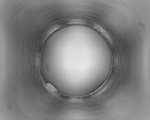 X0000115361049200911171348