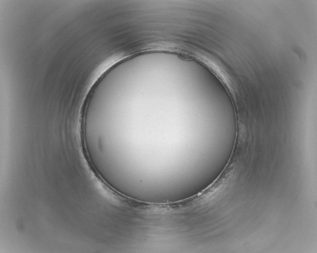 X0000115361050200911171348