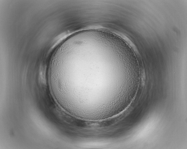 X0000115361054200911171349